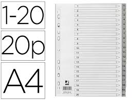 SEPARADOR DE DOCUMENTO EXXO NUM. (1-31